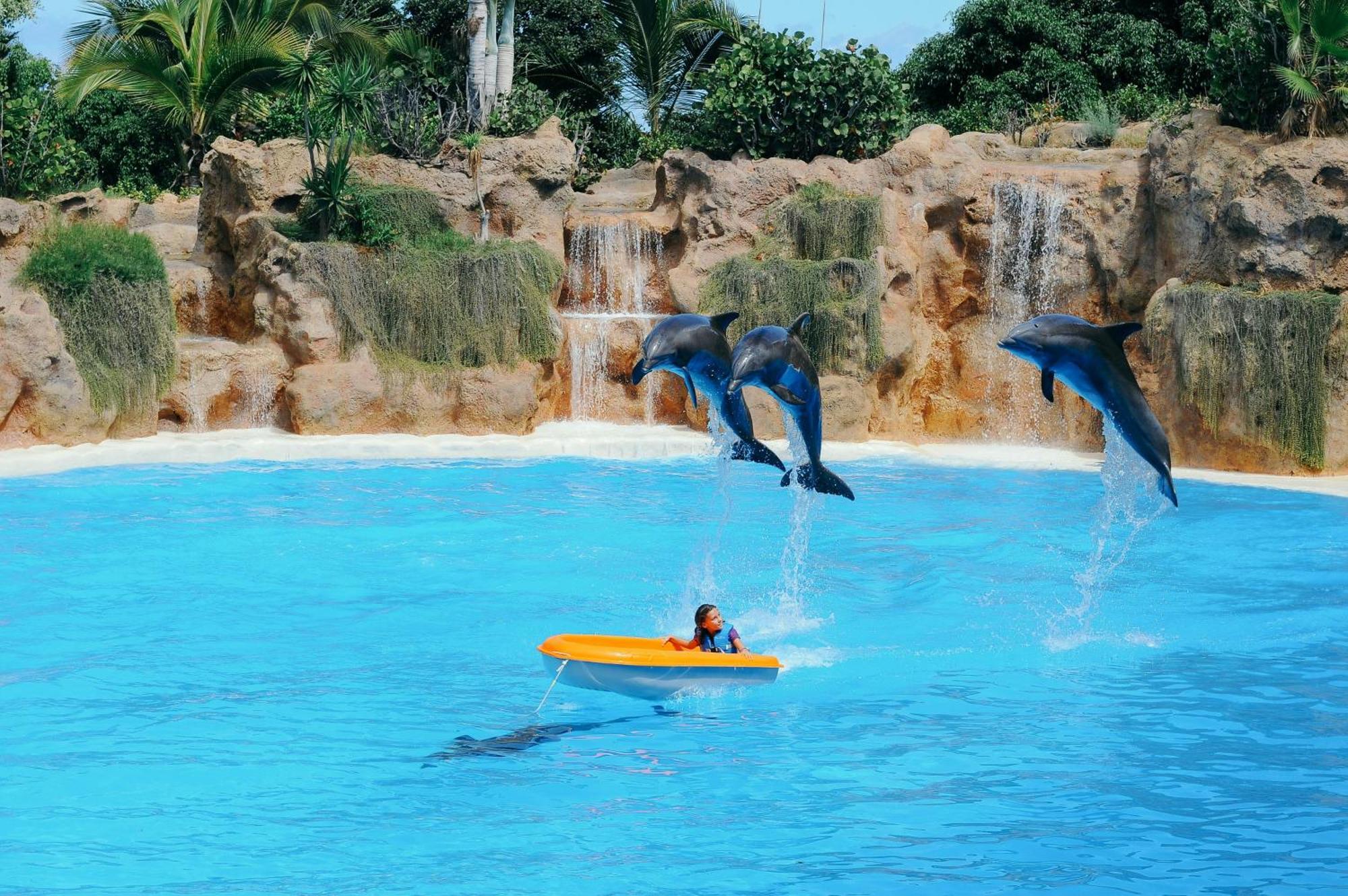 Eden Rentals Moderno Y Coqueto Estudio Con Vistas Puerto de la Cruz  Eksteriør billede